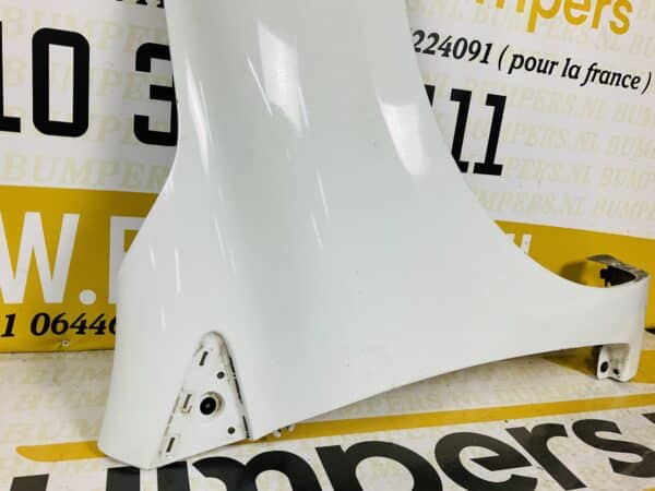 Zijscherm Renault Clio 4 2012-2019 631009436R Scherm Rechts 2-Q2-065