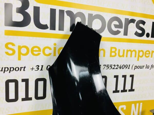 Zijscherm Renault Clio 4 2012-2019 631007609R Scherm Rechts 2-Q2-066