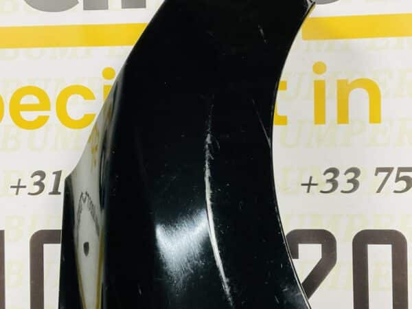 Zijscherm Renault Clio 4 2012-2019 631007609R Scherm Rechts 2-Q2-066