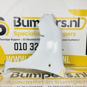 Zijscherm Renault Kangoo 2 2013-2017 Links Scherm 2-Q2-077