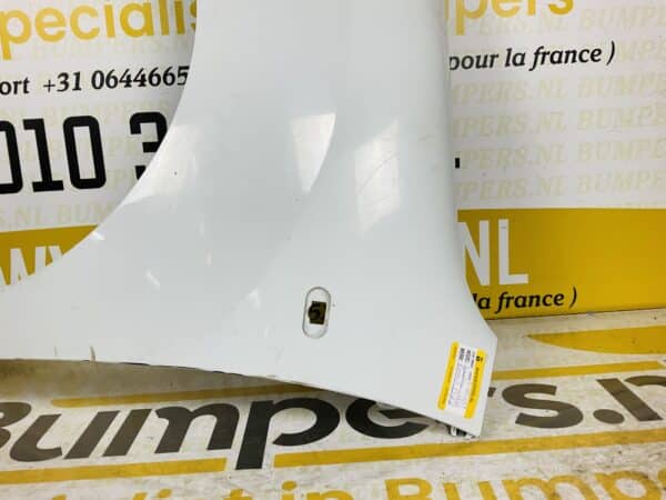 Zijscherm Renault Kangoo 2 2013-2017 Links Scherm 2-Q2-077