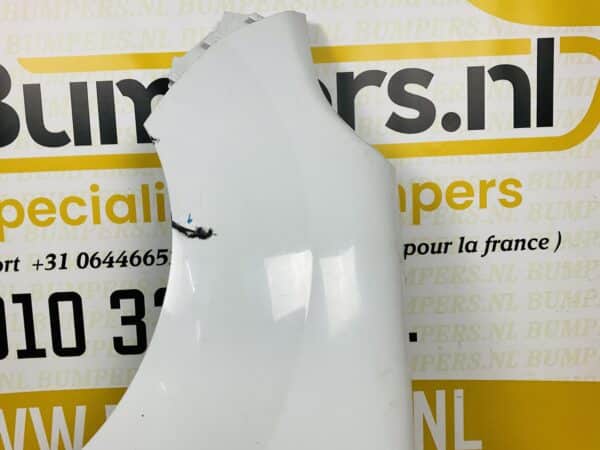 Zijscherm Renault Kangoo 2 2013-2017 Links Scherm 2-Q2-077
