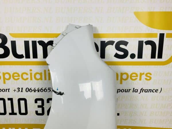 Zijscherm Renault Kangoo 2 2013-2017 Links Scherm 2-Q2-077