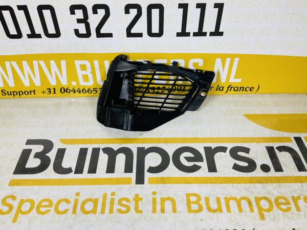 Rooster Peugeot 3008  Bumper Rooster  2-P5-4198z