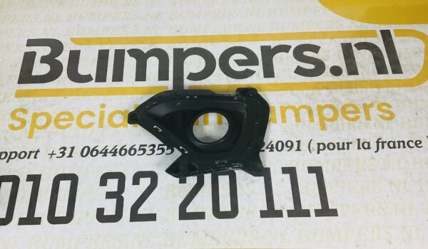Grill Hyundai i10 Mistlamp Rooster Origineel Gril Rechts 2-P3A-4110z