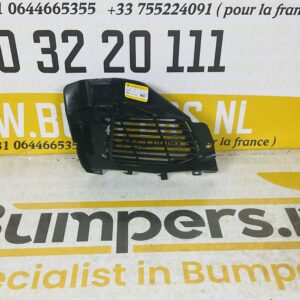 Bumper Grill Peugeot 3008 MK2 Rooster 2016-2021 2-P4-4111z