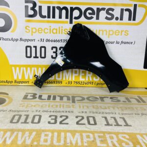 Zijscherm Renault Captur 2012-2019 Scherm Rechts 2-Q2-5975R