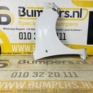 Zijscherm Renault Kango 90 2011-2021 Scherm 2-Q2-6872R