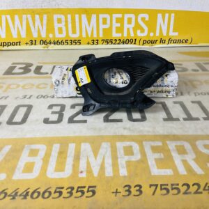 Grill Hyundai I 10 Links Rooster Gril 2-R1-5961R