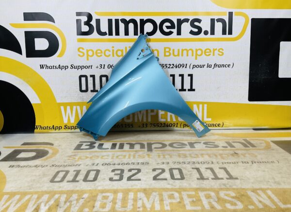Zijscherm Renault Zoe  631018491P Scherm Links 2-Q2-9702T