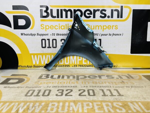 Zijscherm Renault Zoe  631018491P Scherm Links 2-Q2-9702T