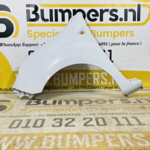 Zijscherm Renault Kangoo 631010288r 2008-2013 Scherm Links 2-Q2-9704T