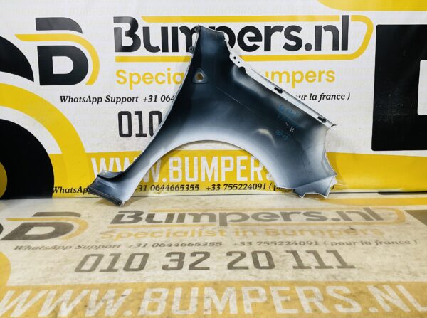 Zijscherm Renault Kangoo 631010288r 2008-2013 Scherm Links 2-Q2-9704T