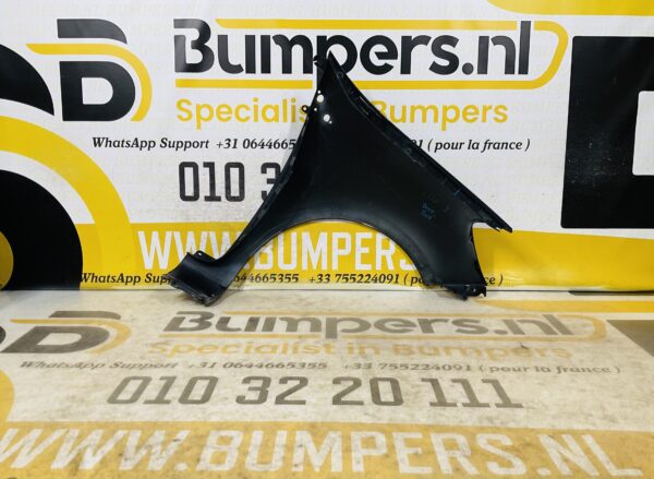 Zijscherm Renault Clio 3  8200256117 2005-2012 Scherm Links 2-Q2-9705T
