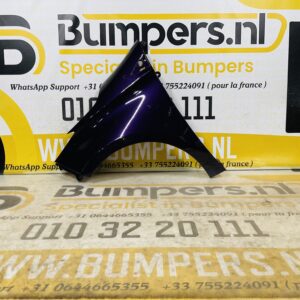 Zijscherm Renault Zoe  631018491R Scherm Links 2-Q2-9706T