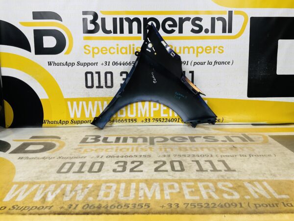 Zijscherm Renault Zoe  631018491R Scherm Links 2-Q2-9706T