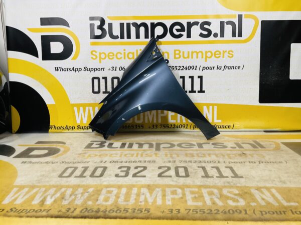 Zijscherm Renault Zoe  631018491R Scherm Links 2-Q2-9707T