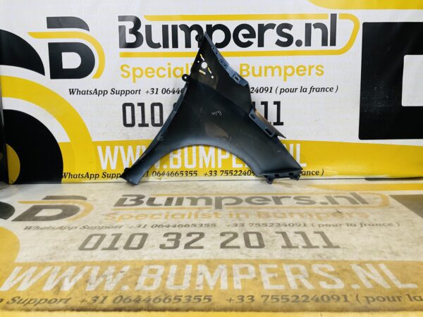 Zijscherm Renault Zoe  631018491R Scherm Links 2-Q2-9707T