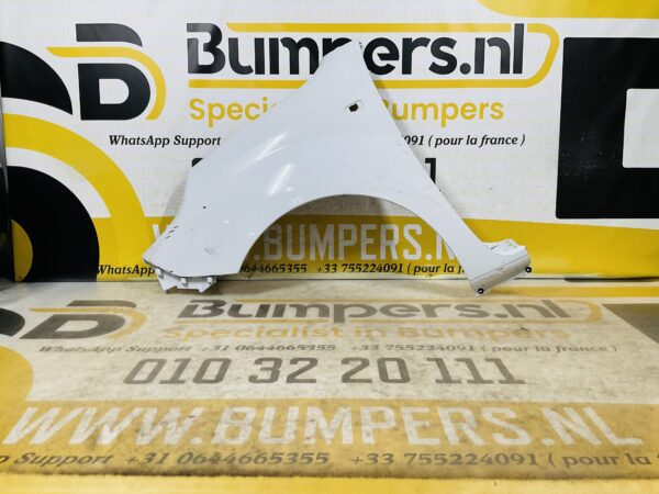 Zijscherm Renault Kangoo 2  631015870R Scherm Links 2-Q2-9714T