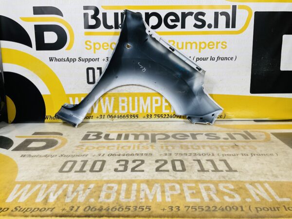 Zijscherm Renault Kangoo 2  631015870R Scherm Links 2-Q2-9714T