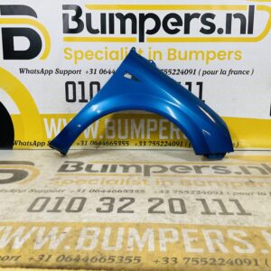 Zijscherm Renault Scenic 2 8200020569D 2003-2009 Scherm Rechts 2-Q2-9719T