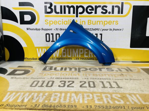 Zijscherm Renault Scenic 2 8200020569D 2003-2009 Scherm Rechts 2-Q2-9719T