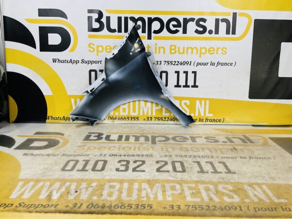 Zijscherm Renault Zoe 631009208R Scherm Rechts 2-Q2-9730T