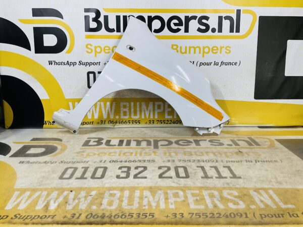 Zijscherm Renault Kangoo 631003601R Scherm Rechts 2-Q2-9731T