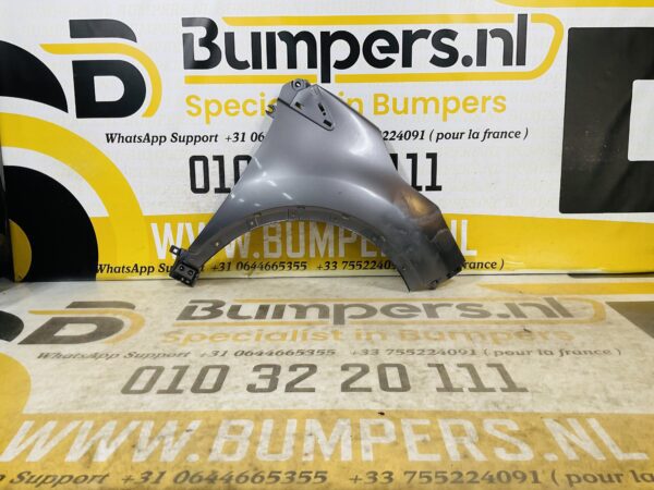 Zijscherm Renault Captur 631001642R Scherm Rechts 2-Q2-9738T