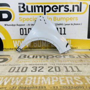 Zijscherm Renault Captur 631002106R Scherm Rechts 2-Q2-9743T