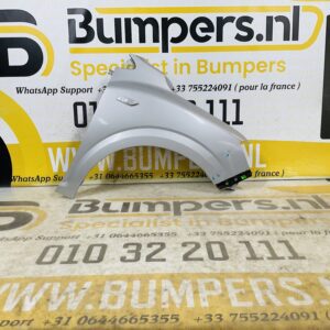 Zijscherm Renault Megane 3  631006738R Scherm Rechts 2-Q2-9745T