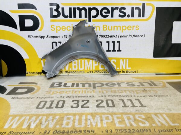 Zijscherm Renault Megane 3  631006738R Scherm Rechts 2-Q2-9745T