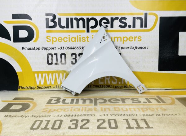 Zijscherm Renault Zoe 631018491R Scherm Links 2-Q2L-11818