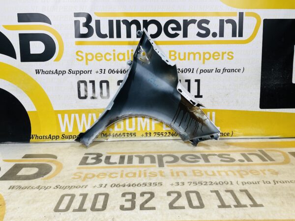 Zijscherm Renault Zoe 631018491R Scherm Links 2-Q2L-11818
