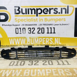Grill Rooster Renault Scenic MK3 2009-2016 Voorbumper Rooster 2-L9A-11840