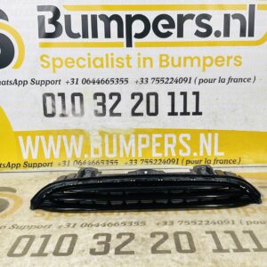 Grill Mini Cooper 2600000002595 Bumper grill 2-R8-12291