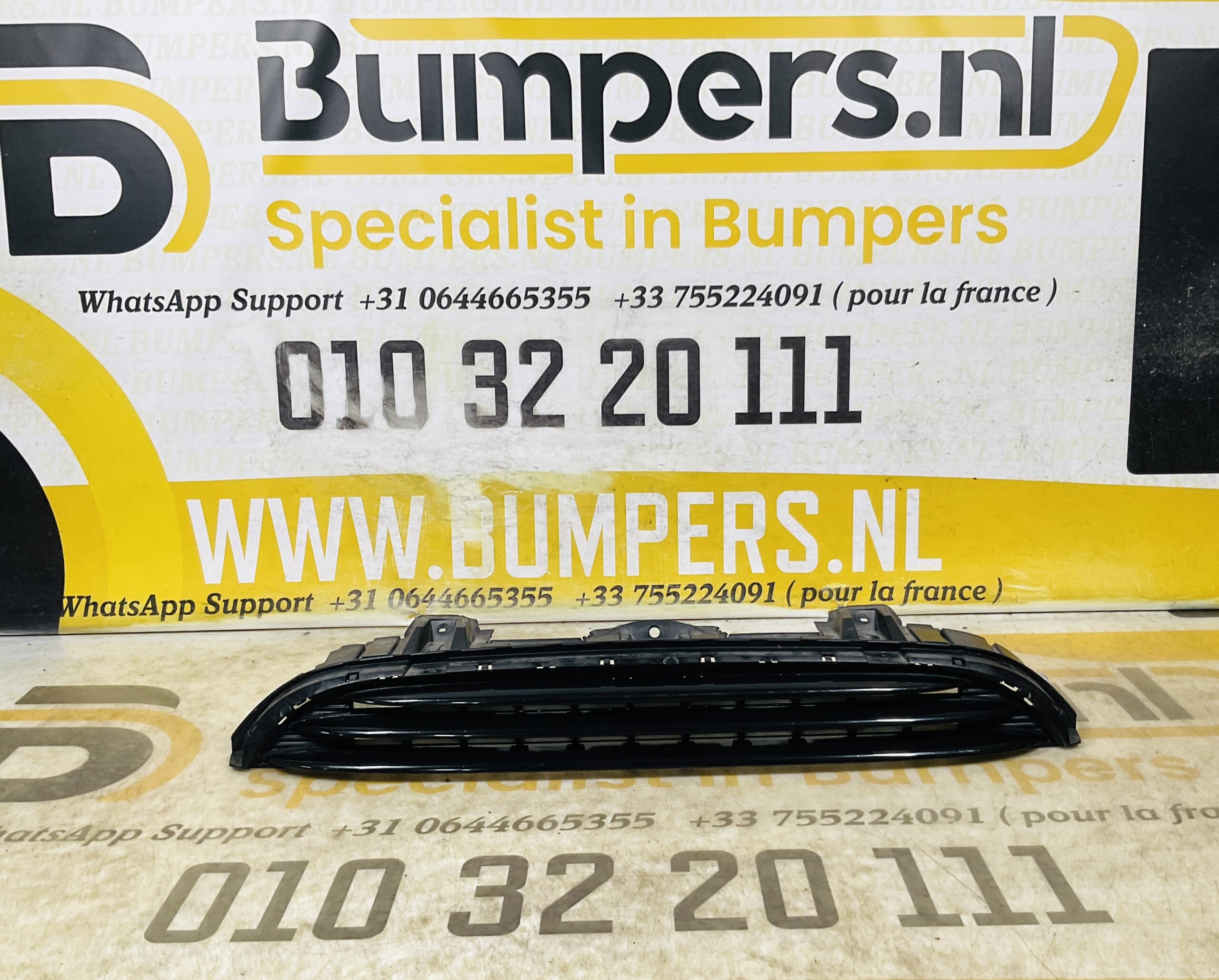 Grill Mini Cooper 2600000002595 Bumper grill 2-R8-12291