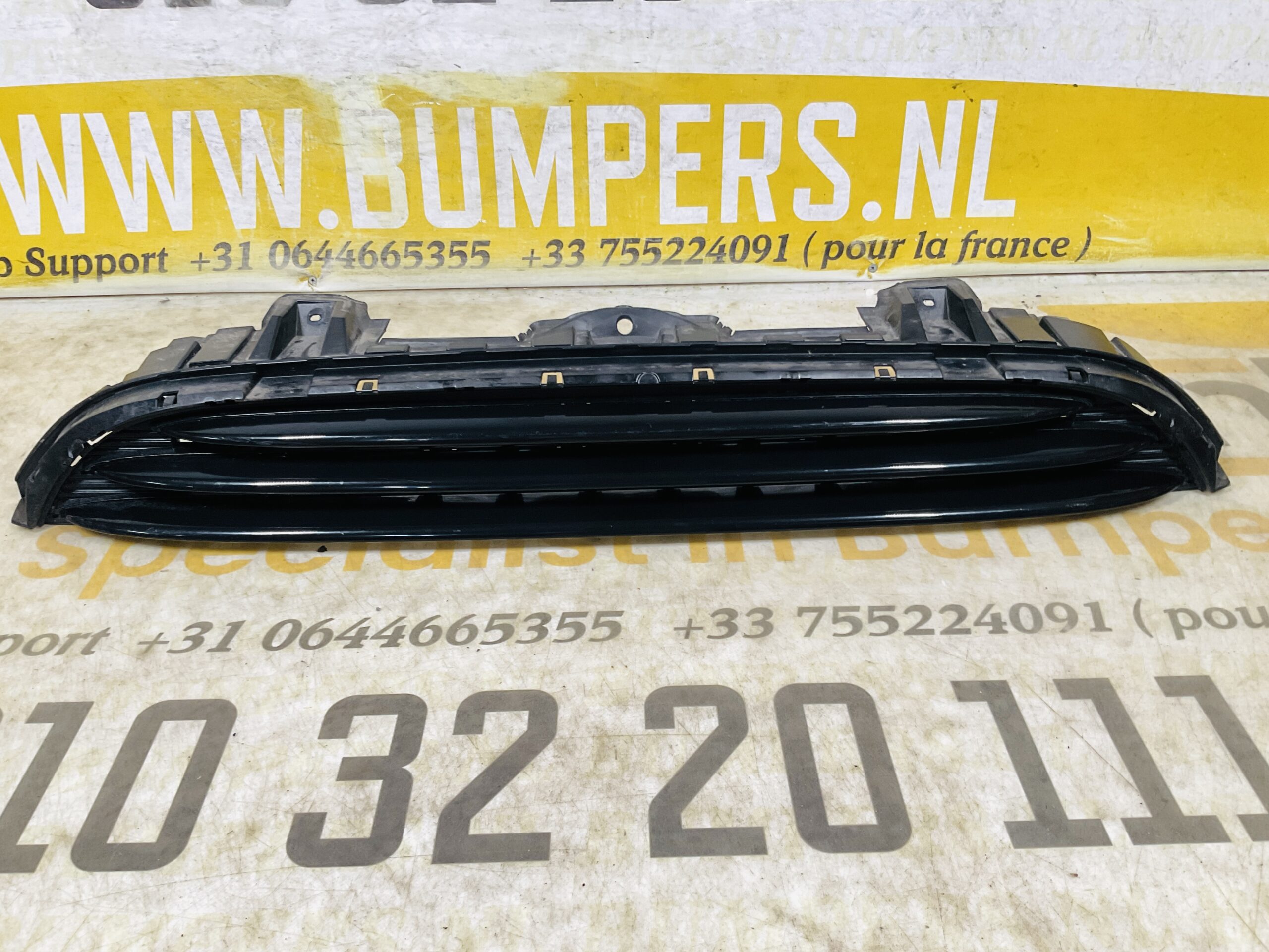 Grill Mini Cooper 2600000002595 Bumper grill 2-R8-12291