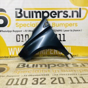 Zijscherm Renault Zoe 631018491R Scherm Links 2-Q2L-12392