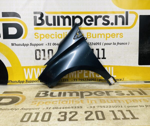Zijscherm Renault Zoe 631018491R Scherm Links 2-Q2L-12392