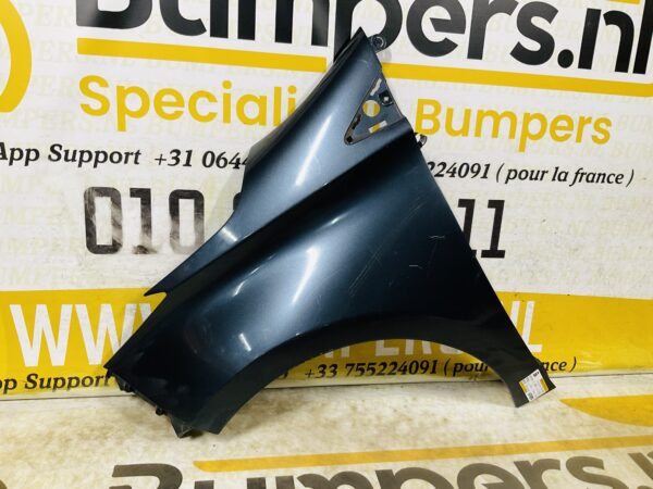 Zijscherm Renault Zoe 631018491R Scherm Links 2-Q2L-12392