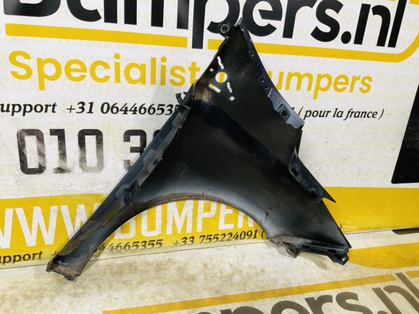 Zijscherm Renault Zoe 631018491R Scherm Links 2-Q2L-12392