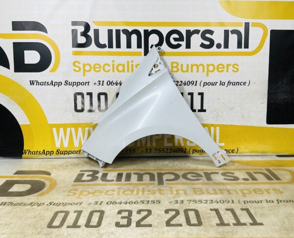 Zijscherm Renault Zoe 631018491R Scherm Links 2-Q2L-12393