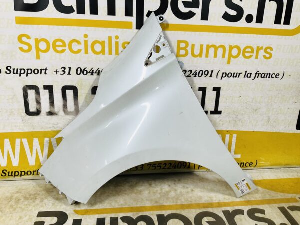 Zijscherm Renault Zoe 631018491R Scherm Links 2-Q2L-12393