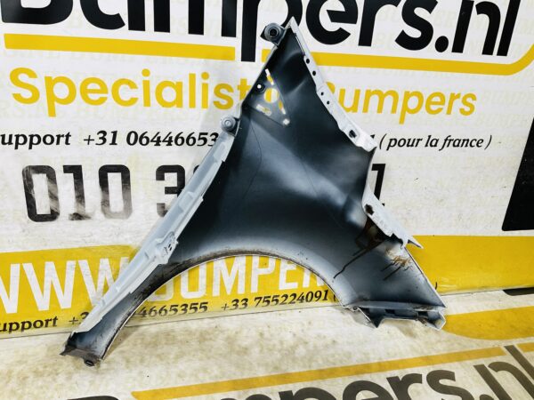 Zijscherm Renault Zoe 631018491R Scherm Links 2-Q2L-12393