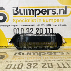 Grill Toyota Corolla E210 E21 A371-6766 Voorbumper grille 2-R5-12491