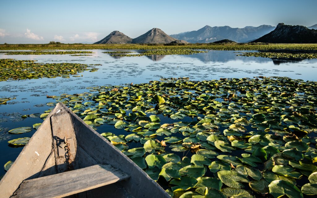 Skadar Lake - vakantie Montenegro - Christoffel Travel
