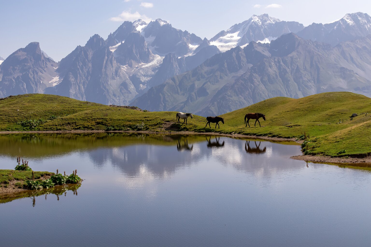 A,Herd,Of,Horses,Grazing,At,The,Koruldi,Lake,With