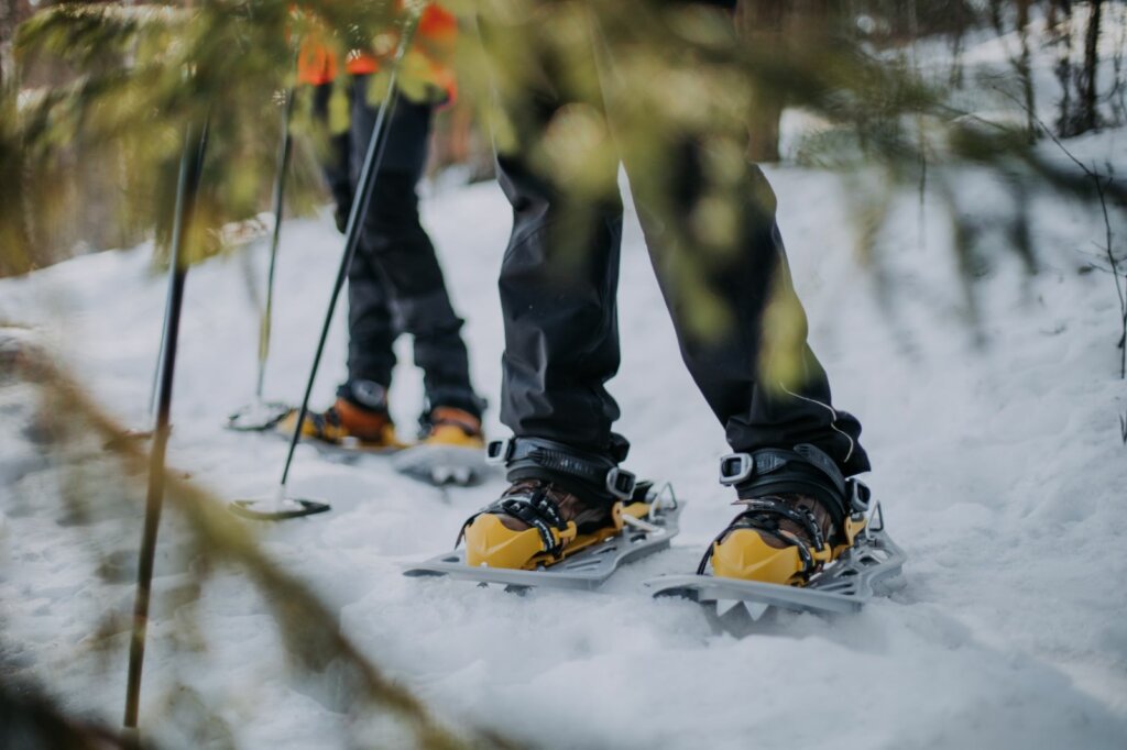 finland-lakeland-sneeuwschoenwandelen