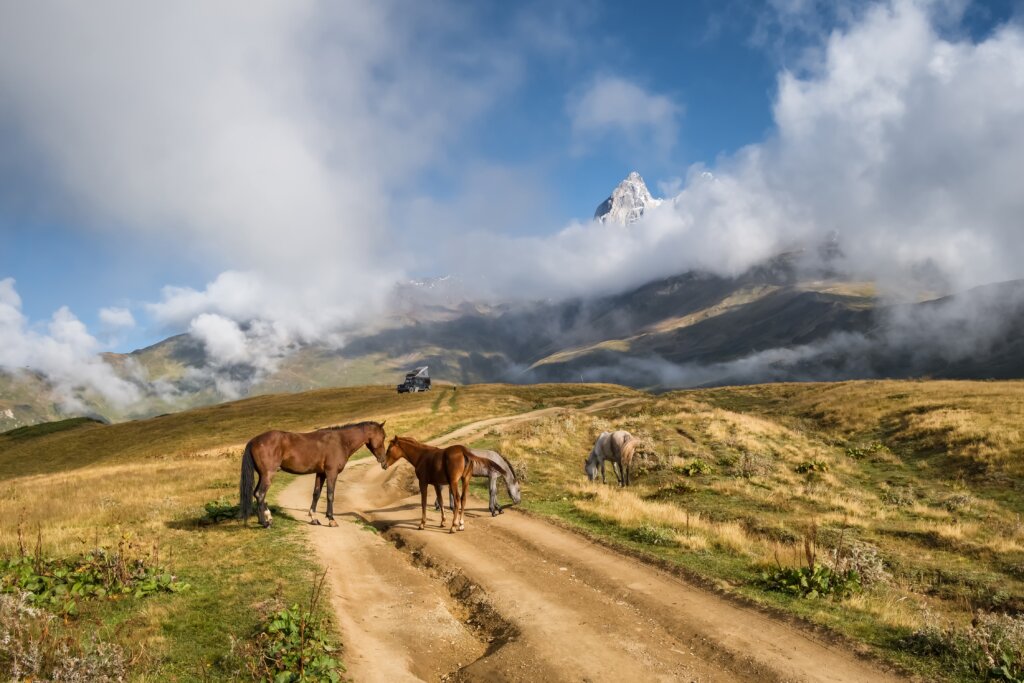 Georgie vakantie - paarden - bergen - Christoffel Travel